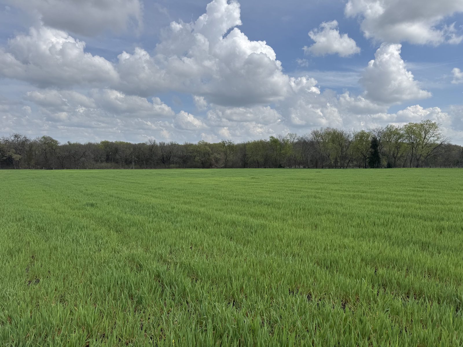 Crop and grass planting