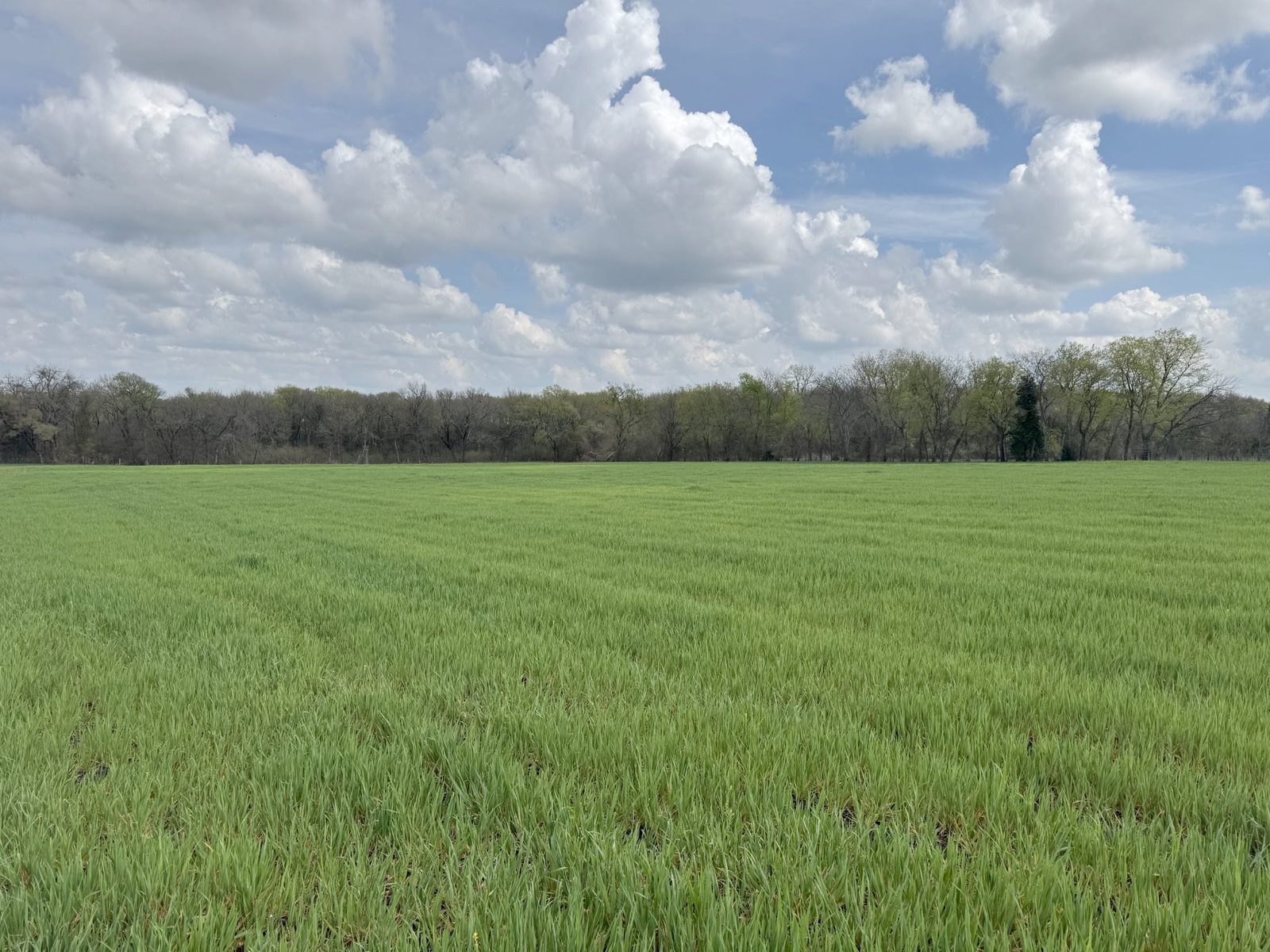 Farm fields