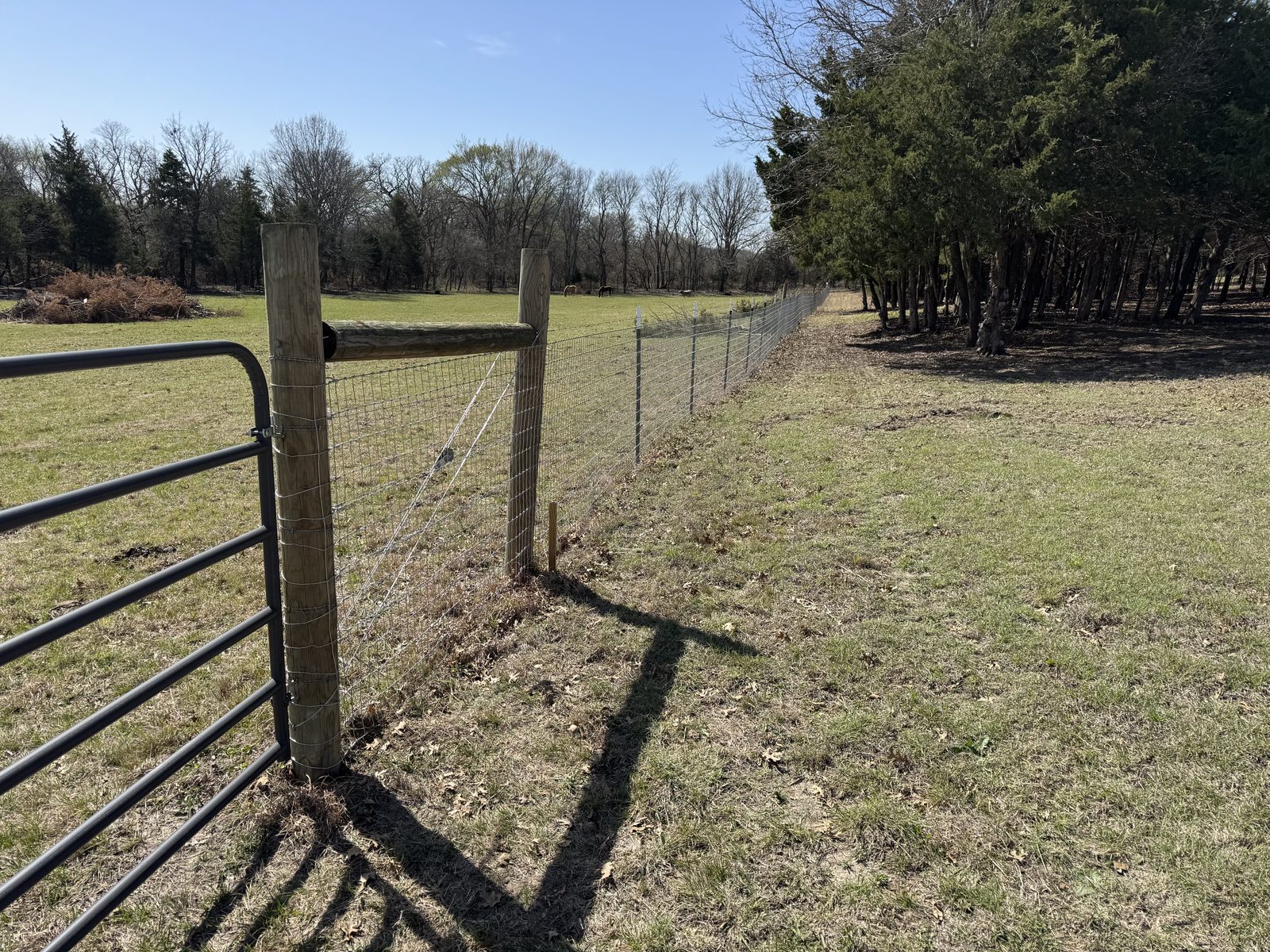 Completed fencing