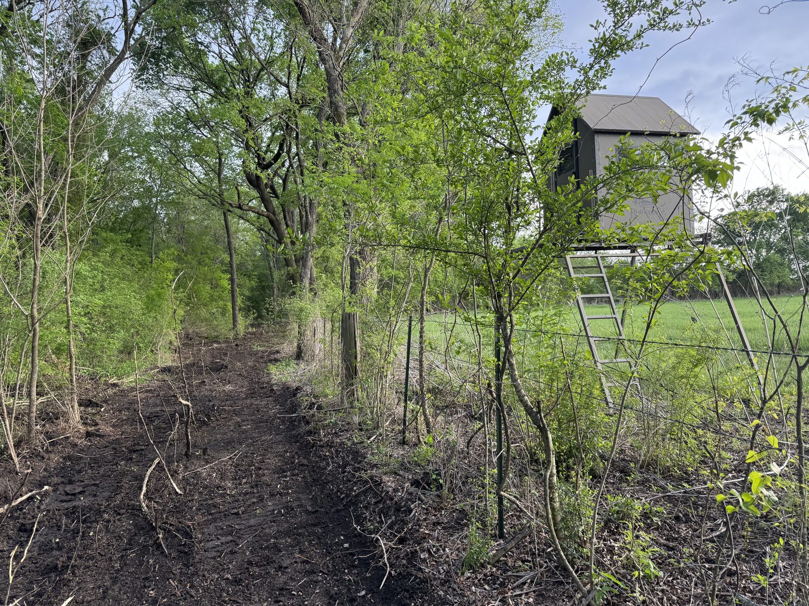 Land clearing