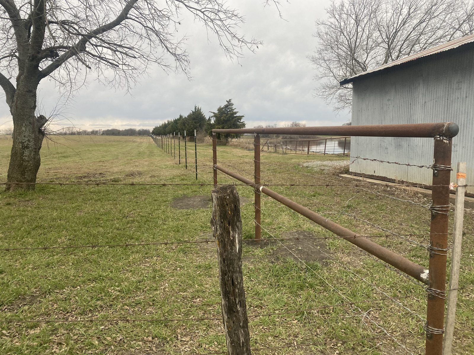 Fencing