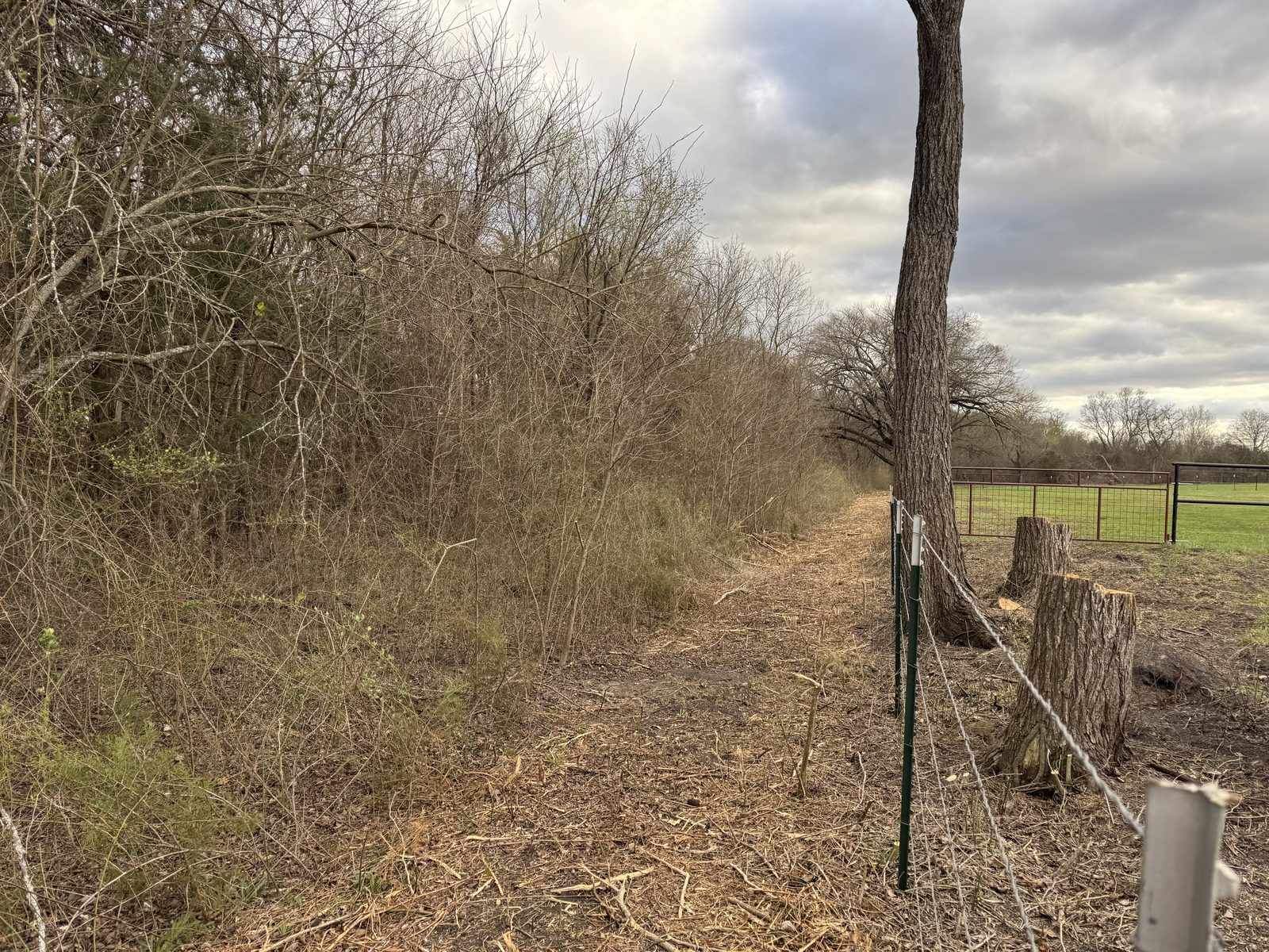 Land clearing work