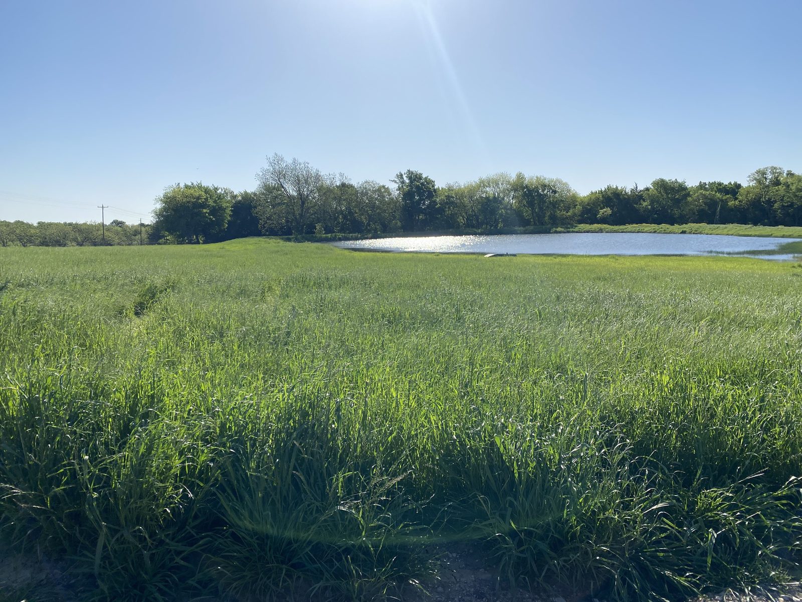 Pond and tank management