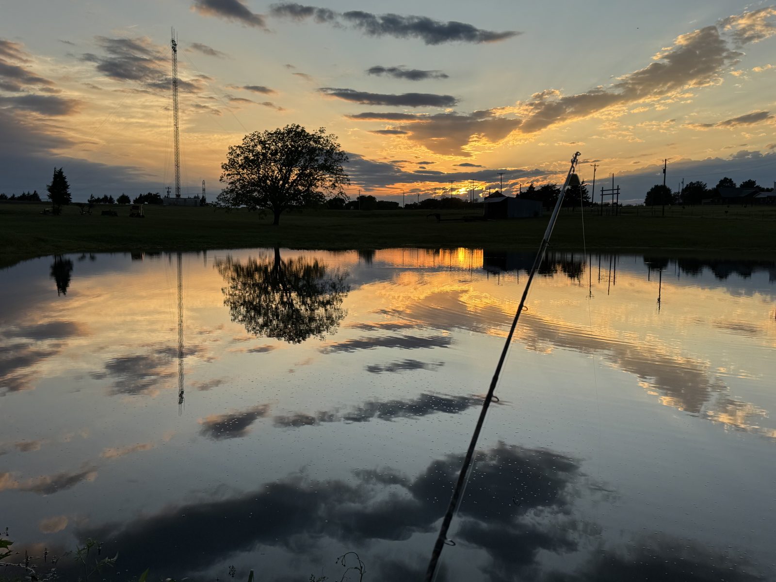 Pond management